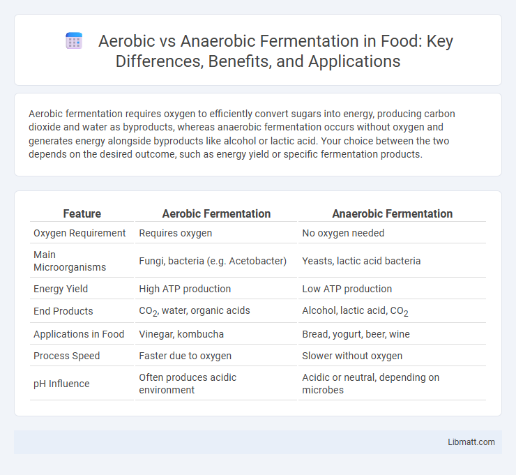 Aerobic vs Anaerobic Fermentation in Food: Key Differences, Benefits, and Applications