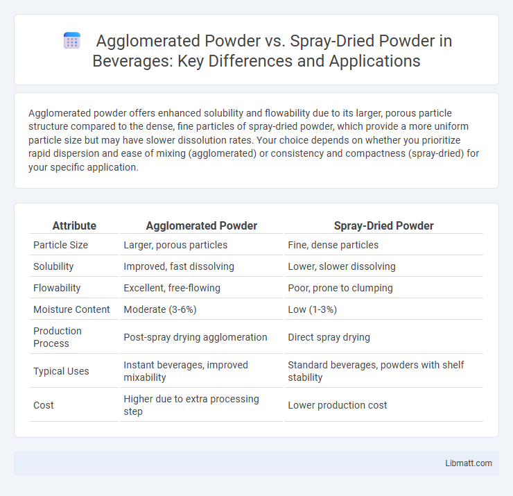 Agglomerated Powder vs. Spray-Dried Powder in Beverages: Key Differences and Applications