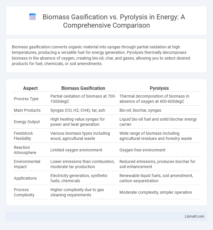 Biomass Gasification vs. Pyrolysis in Energy: A Comprehensive Comparison