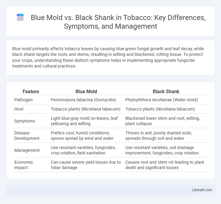 Blue Mold vs. Black Shank in Tobacco: Key Differences, Symptoms, and Management