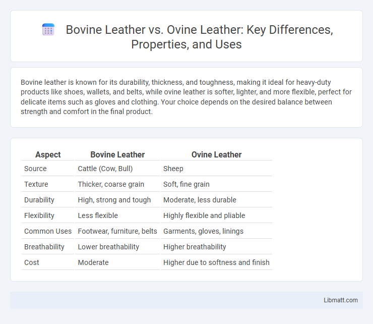 Bovine Leather vs. Ovine Leather: Key Differences, Properties, and Uses