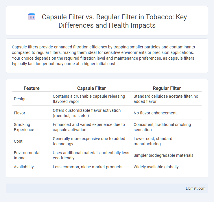 Capsule Filter vs. Regular Filter in Tobacco: Key Differences and Health Impacts
