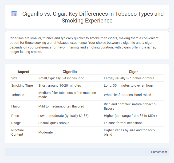 Cigarillo vs. Cigar: Key Differences in Tobacco Types and Smoking Experience