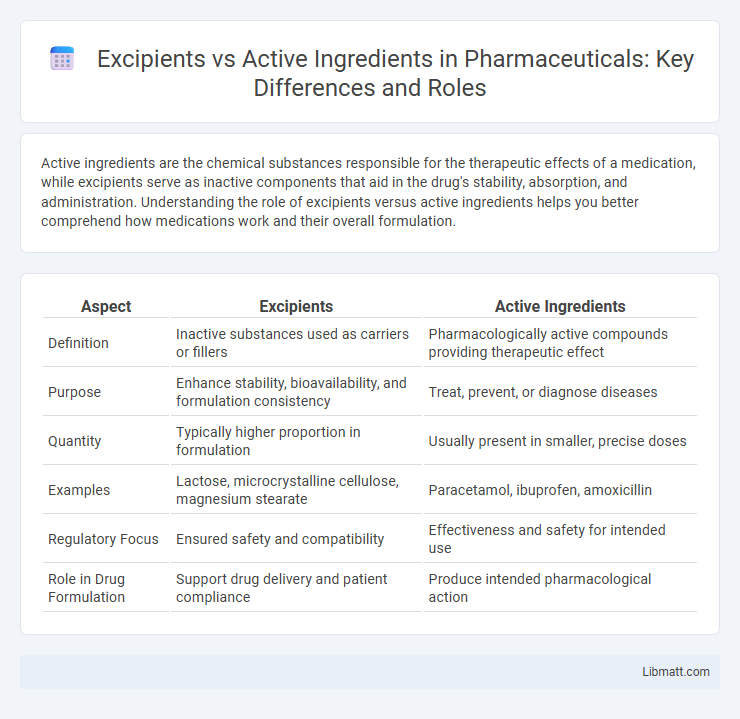 Excipients vs Active Ingredients in Pharmaceuticals: Key Differences and Roles