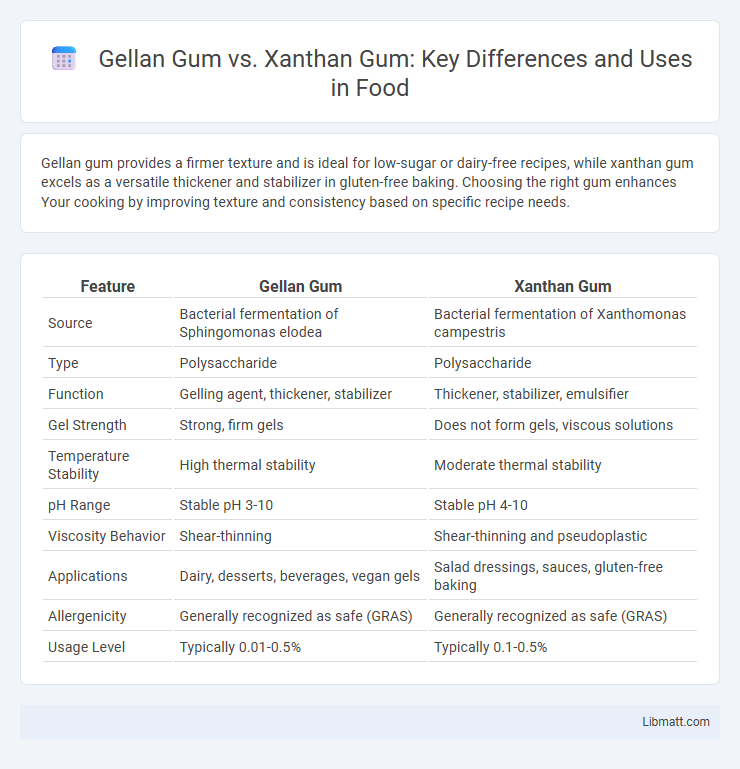 Gellan Gum vs. Xanthan Gum: Key Differences and Uses in Food