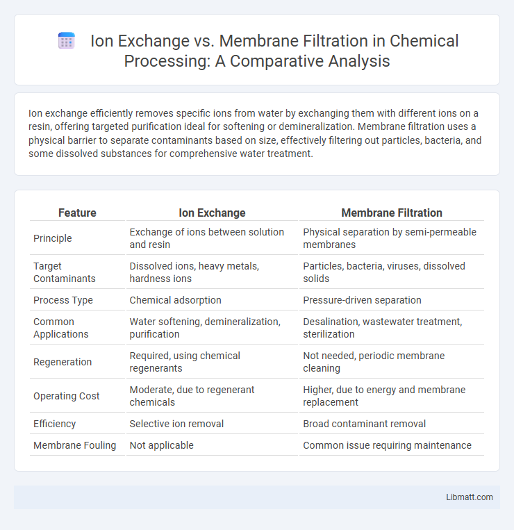 Ion Exchange vs. Membrane Filtration in Chemical Processing: A Comparative Analysis