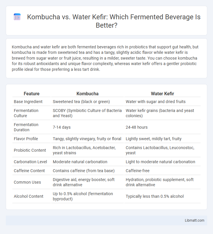 Kombucha vs. Water Kefir: Which Fermented Beverage Is Better?