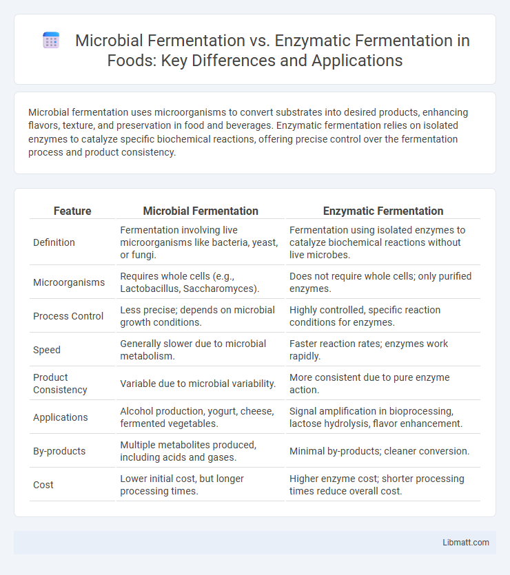 Microbial Fermentation vs. Enzymatic Fermentation in Foods: Key Differences and Applications