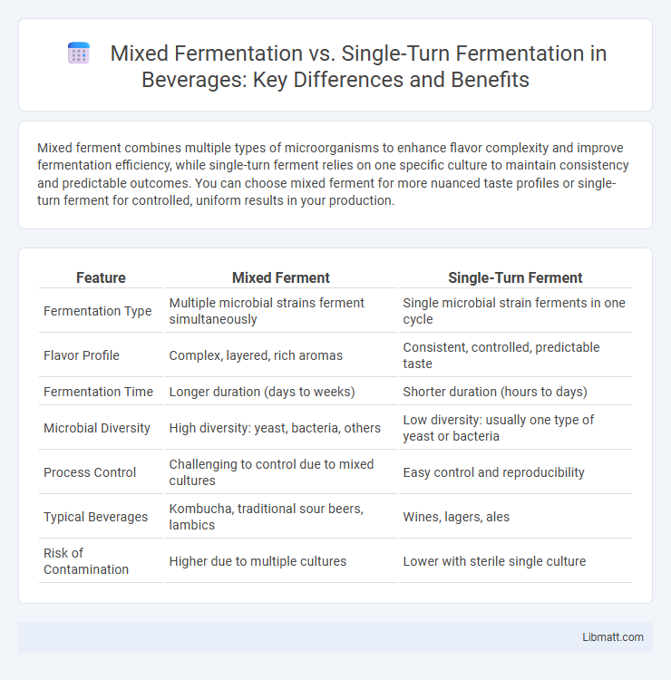 Mixed Fermentation vs. Single-Turn Fermentation in Beverages: Key Differences and Benefits