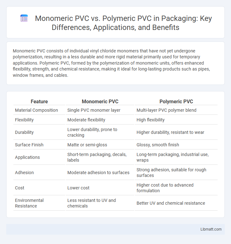Monomeric PVC vs. Polymeric PVC in Packaging: Key Differences, Applications, and Benefits