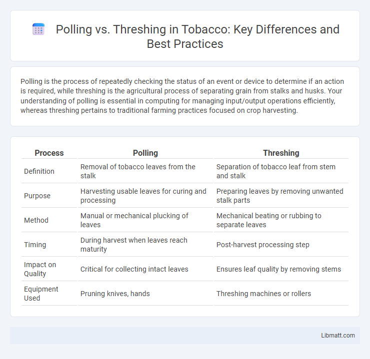 Polling vs. Threshing in Tobacco: Key Differences and Best Practices