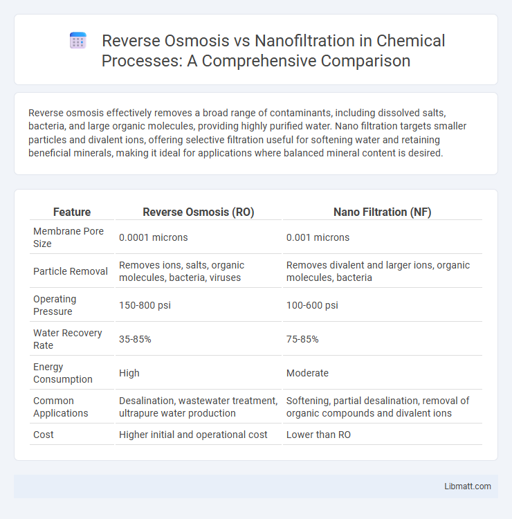 Reverse Osmosis vs Nanofiltration in Chemical Processes: A Comprehensive Comparison