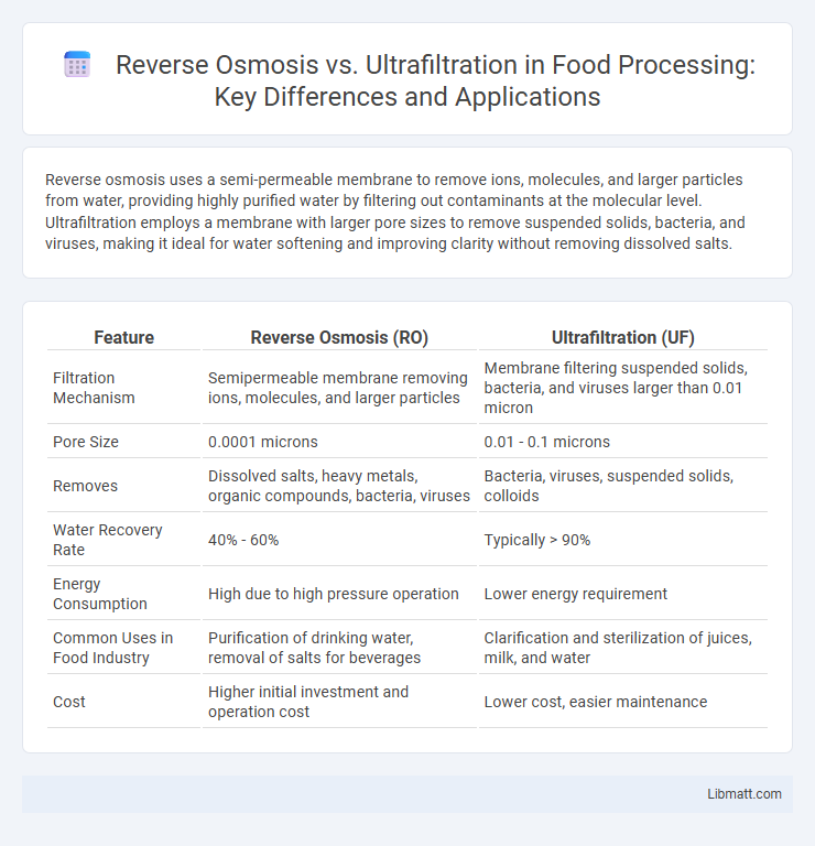 Reverse Osmosis vs. Ultrafiltration in Food Processing: Key Differences and Applications