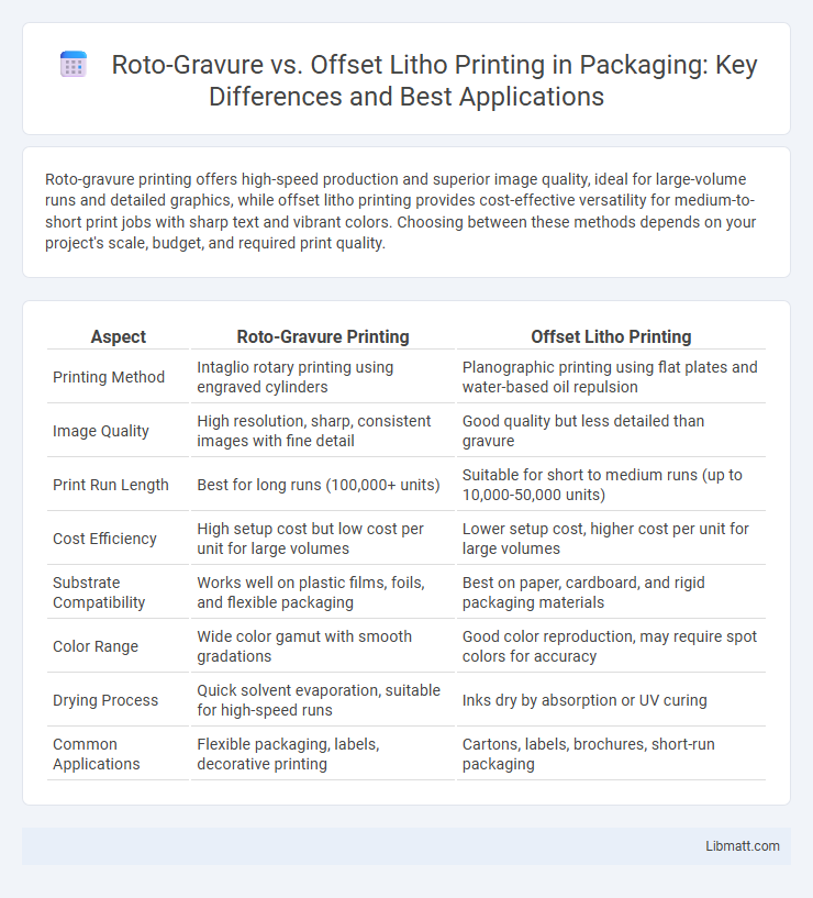 Roto-Gravure vs. Offset Litho Printing in Packaging: Key Differences and Best Applications