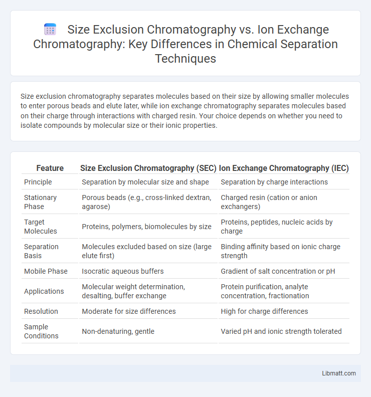 Size Exclusion Chromatography vs. Ion Exchange Chromatography: Key Differences in Chemical Separation Techniques