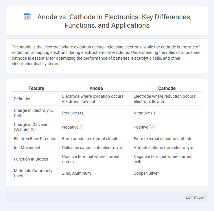 Anode vs. Cathode in Electronics: Key Differences, Functions, and Applications
