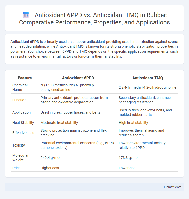 Antioxidant 6PPD vs. Antioxidant TMQ in Rubber: Comparative Performance, Properties, and Applications