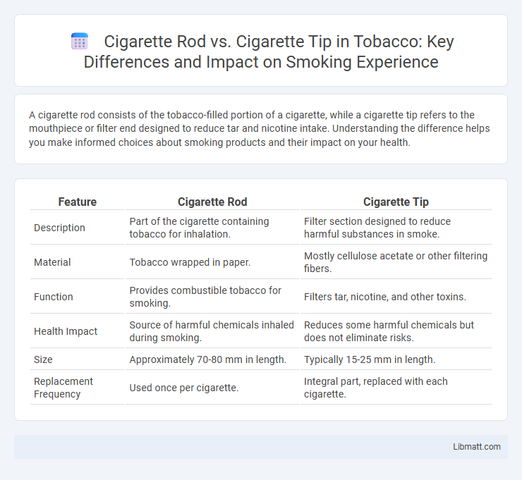 Cigarette Rod vs. Cigarette Tip in Tobacco: Key Differences and Impact on Smoking Experience