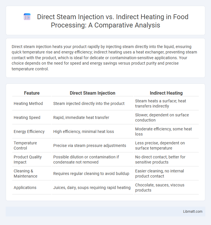 Direct Steam Injection vs. Indirect Heating in Food Processing: A Comparative Analysis