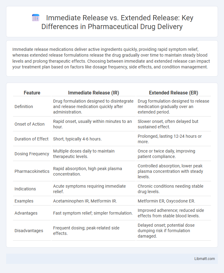 Immediate Release vs. Extended Release: Key Differences in Pharmaceutical Drug Delivery
