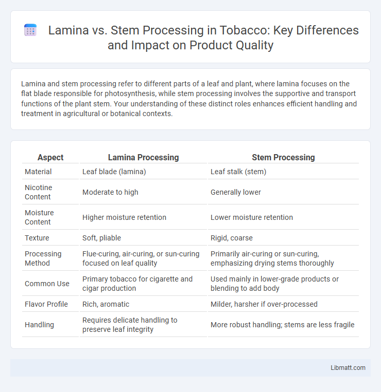 Lamina vs. Stem Processing in Tobacco: Key Differences and Impact on Product Quality