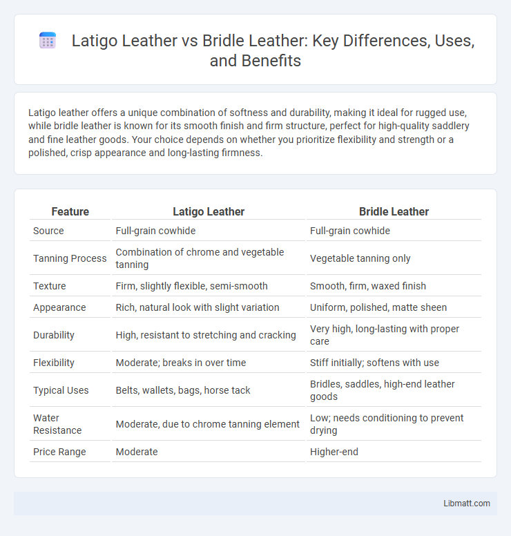 Latigo Leather vs Bridle Leather: Key Differences, Uses, and Benefits