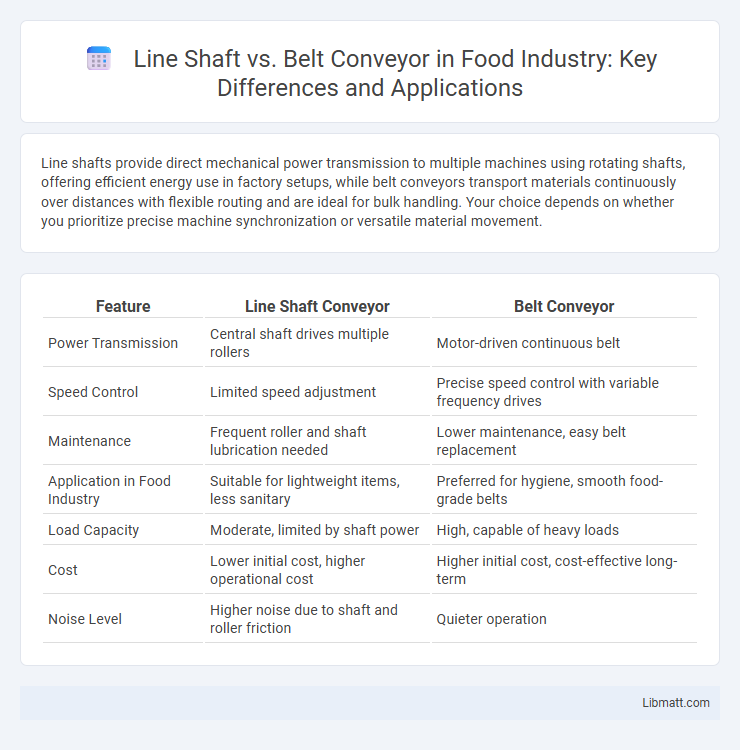 Line Shaft vs. Belt Conveyor in Food Industry: Key Differences and Applications