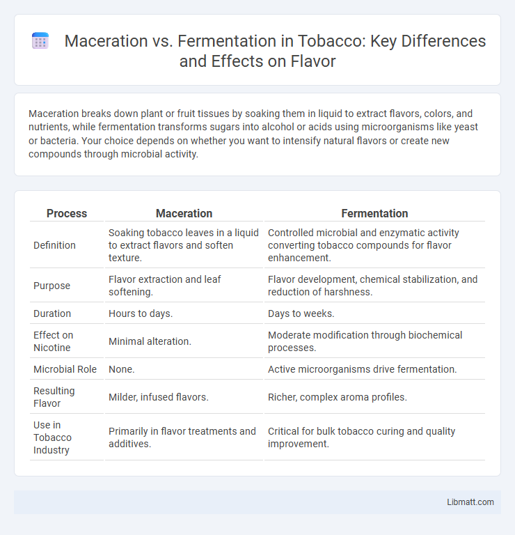 Maceration vs. Fermentation in Tobacco: Key Differences and Effects on Flavor