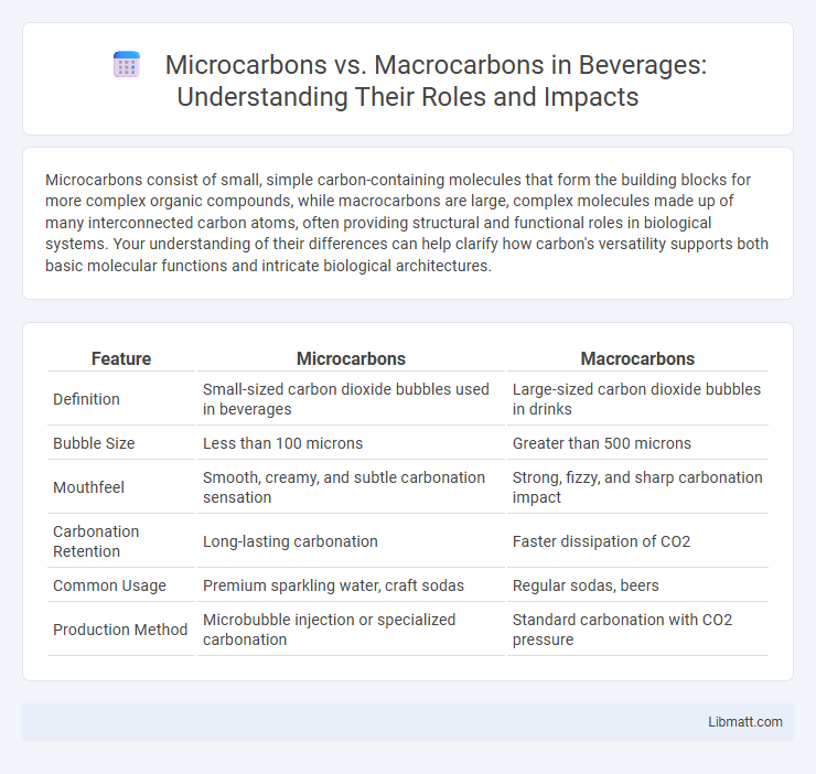 Microcarbons vs. Macrocarbons in Beverages: Understanding Their Roles and Impacts