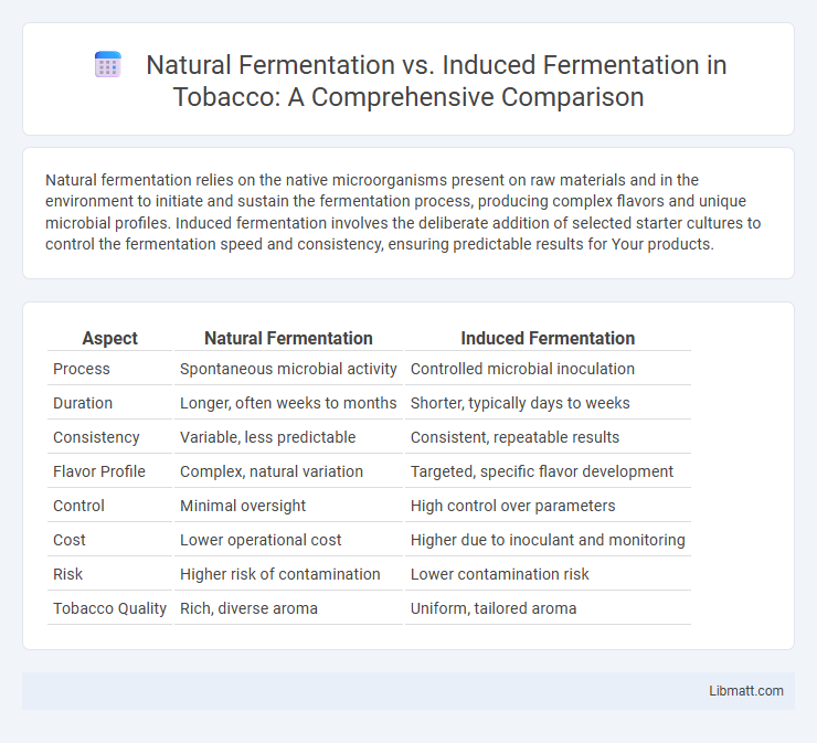 Natural Fermentation vs. Induced Fermentation in Tobacco: A Comprehensive Comparison