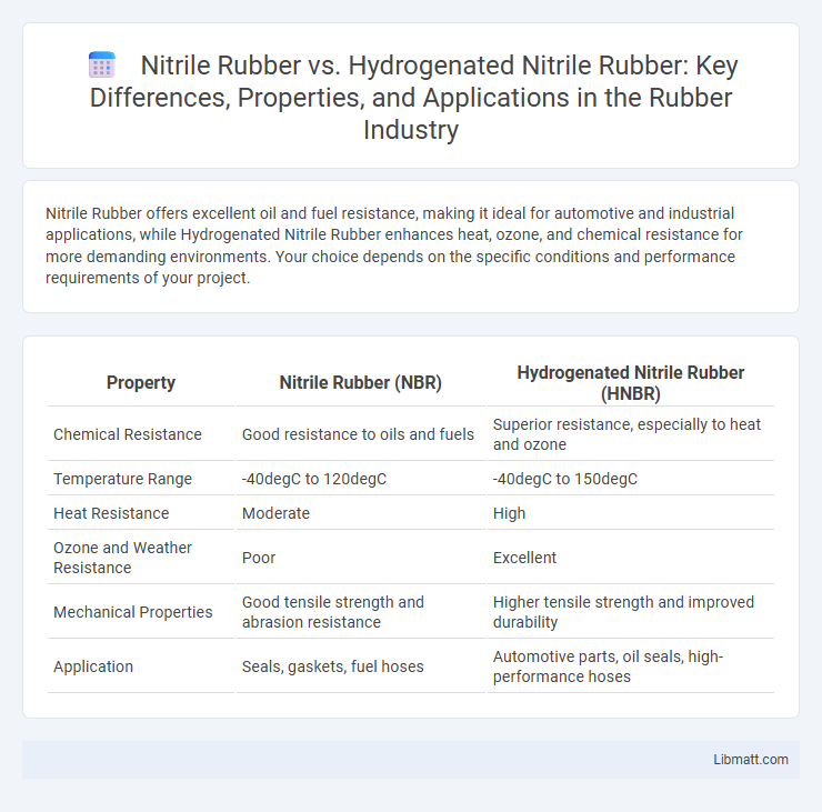 Nitrile Rubber vs. Hydrogenated Nitrile Rubber: Key Differences, Properties, and Applications in the Rubber Industry