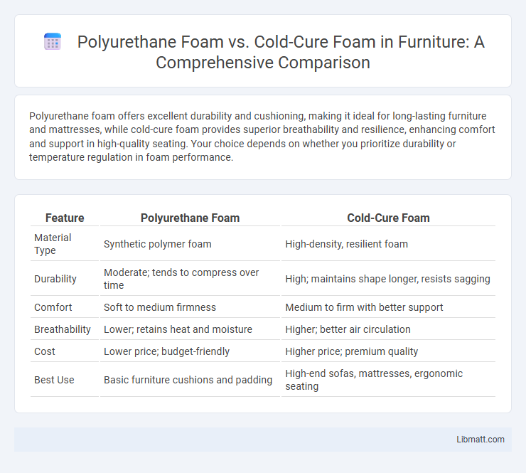 Polyurethane Foam vs. Cold-Cure Foam in Furniture: A Comprehensive Comparison