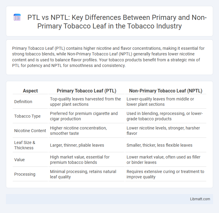 PTL vs NPTL: Key Differences Between Primary and Non-Primary Tobacco Leaf in the Tobacco Industry
