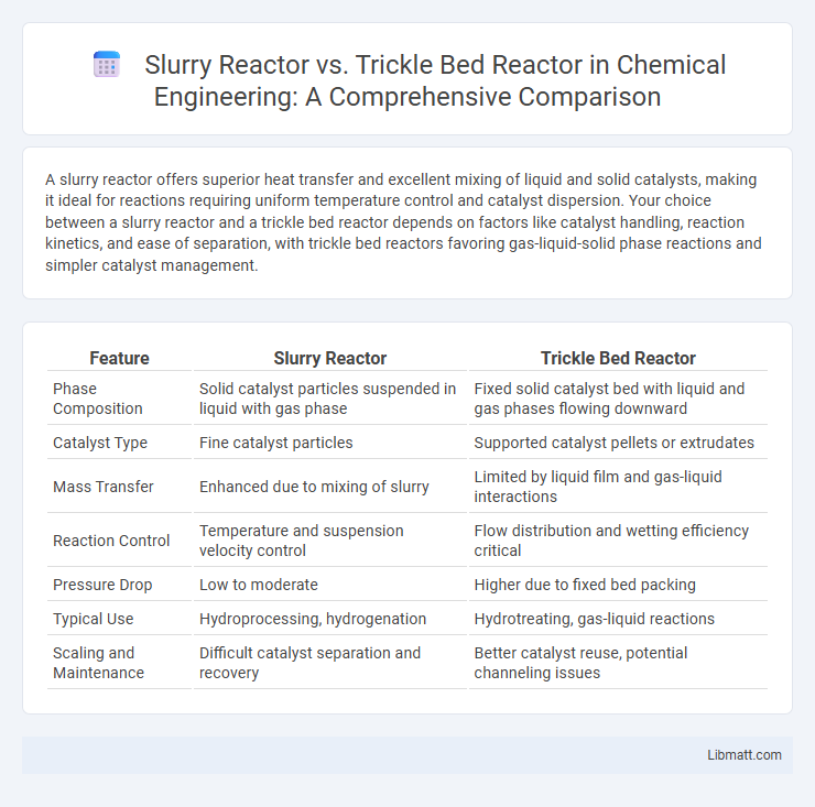 Slurry Reactor vs. Trickle Bed Reactor in Chemical Engineering: A Comprehensive Comparison