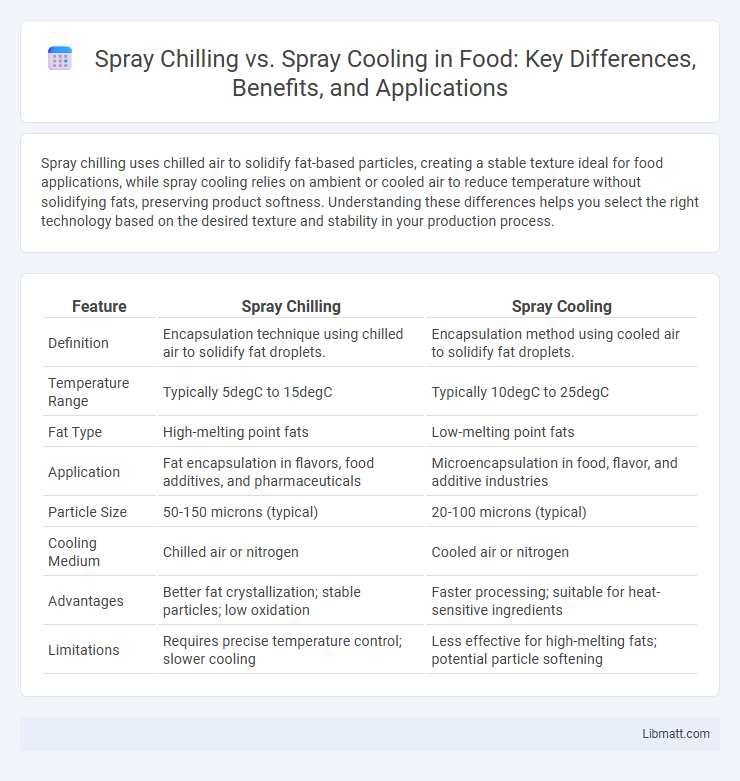 Spray Chilling vs. Spray Cooling in Food: Key Differences, Benefits, and Applications
