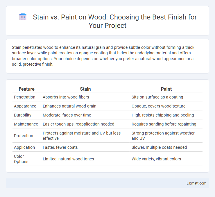Stain vs. Paint on Wood: Choosing the Best Finish for Your Project