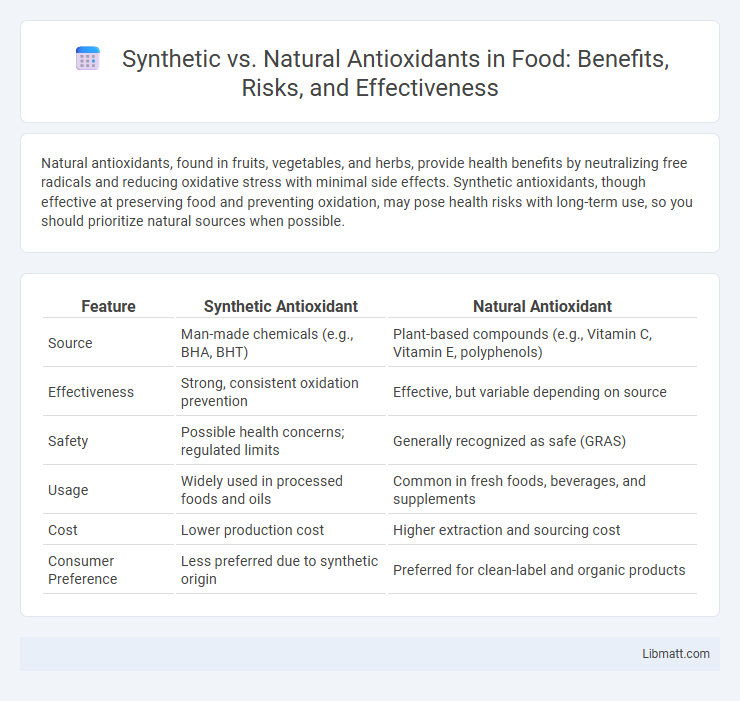 Synthetic vs. Natural Antioxidants in Food: Benefits, Risks, and Effectiveness