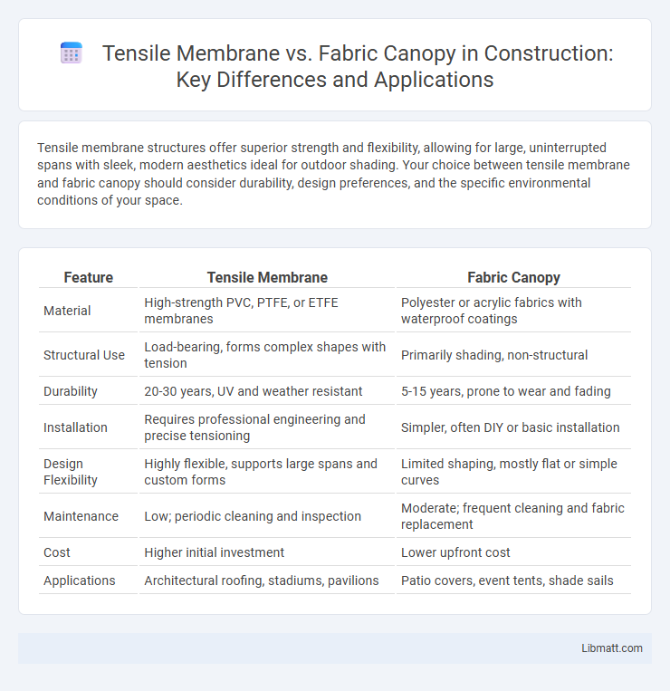 Tensile Membrane vs. Fabric Canopy in Construction: Key Differences and Applications