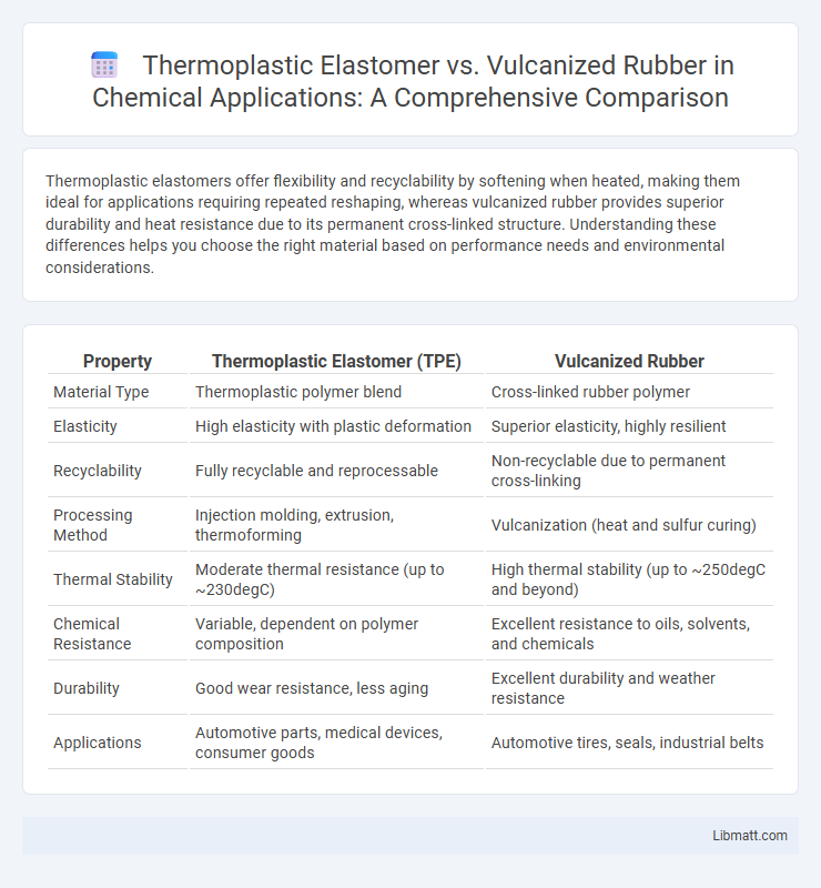 Thermoplastic Elastomer vs. Vulcanized Rubber in Chemical Applications: A Comprehensive Comparison