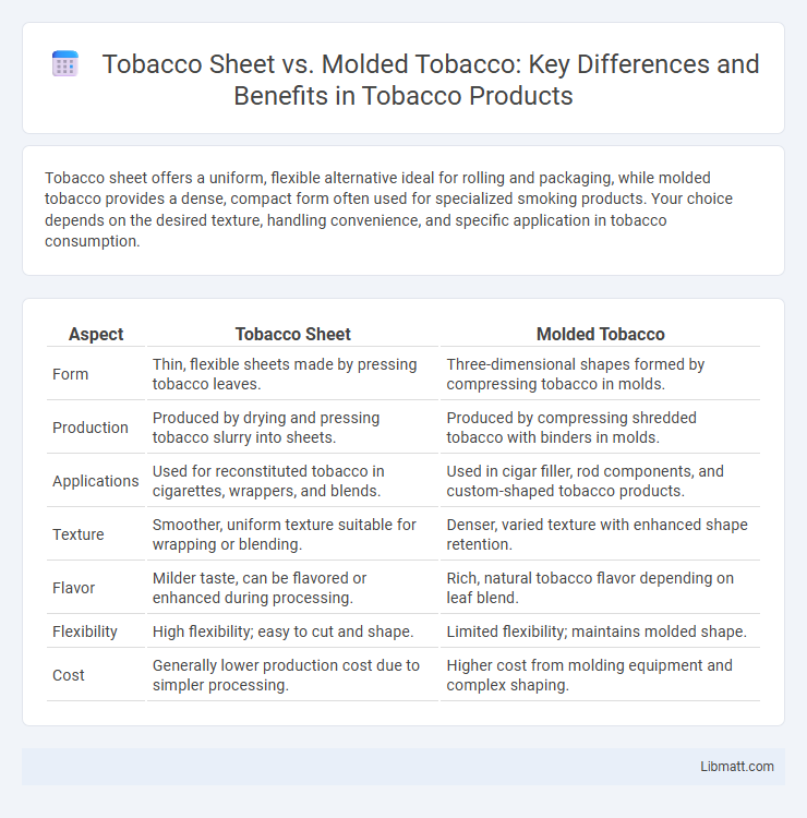 Tobacco Sheet vs. Molded Tobacco: Key Differences and Benefits in Tobacco Products