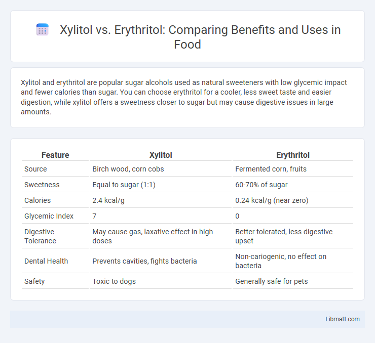 Xylitol vs. Erythritol: Comparing Benefits and Uses in Food