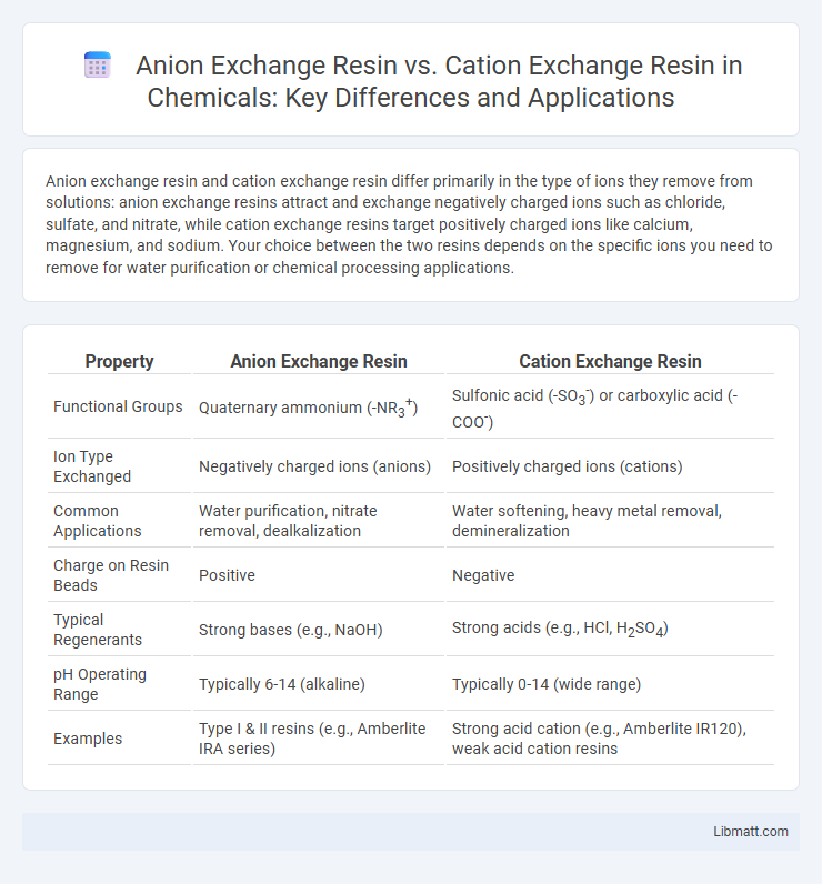 Anion Exchange Resin vs. Cation Exchange Resin in Chemicals: Key Differences and Applications