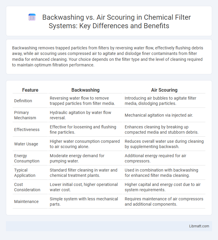 Backwashing vs. Air Scouring in Chemical Filter Systems: Key Differences and Benefits