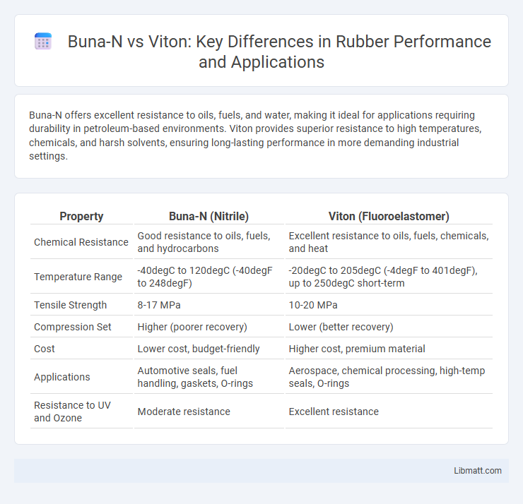Buna-N vs Viton: Key Differences in Rubber Performance and Applications