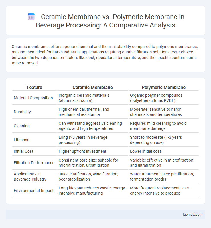 Ceramic Membrane vs. Polymeric Membrane in Beverage Processing: A Comparative Analysis