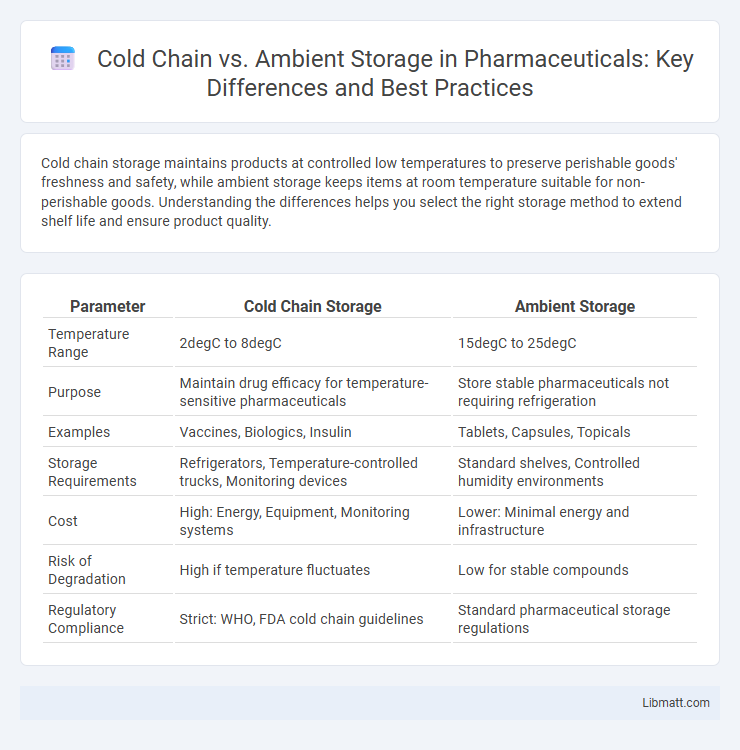 Cold Chain vs. Ambient Storage in Pharmaceuticals: Key Differences and Best Practices