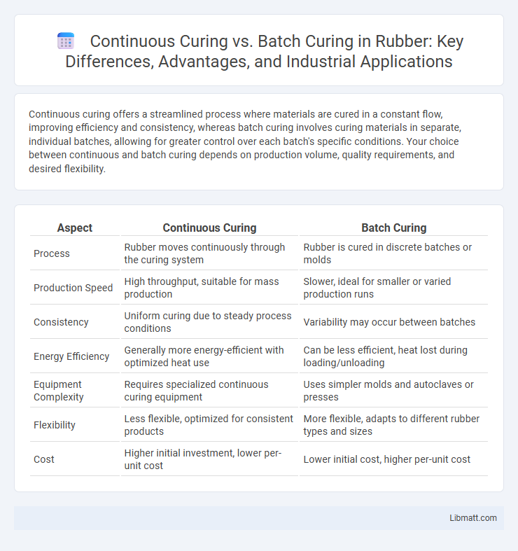 Continuous Curing vs. Batch Curing in Rubber: Key Differences, Advantages, and Industrial Applications