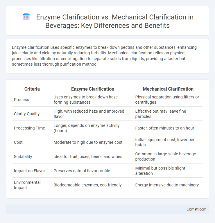 Enzyme Clarification vs. Mechanical Clarification in Beverages: Key Differences and Benefits