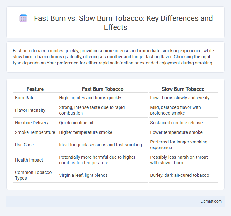 Fast Burn vs. Slow Burn Tobacco: Key Differences and Effects
