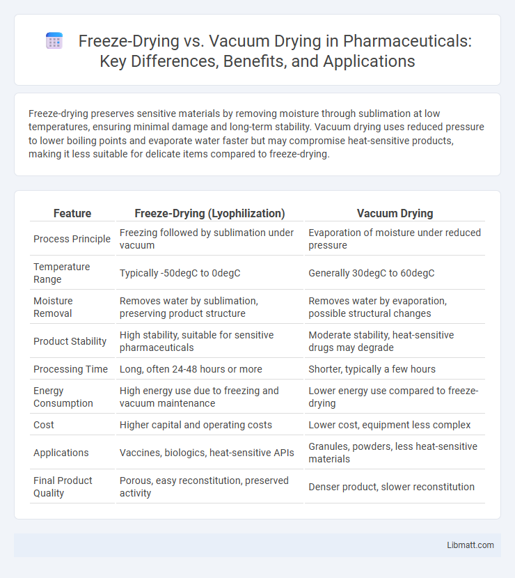 Freeze-Drying vs. Vacuum Drying in Pharmaceuticals: Key Differences, Benefits, and Applications